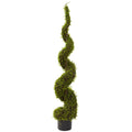 4' Mohlenbechia Spiral Tree by Nearly Natural