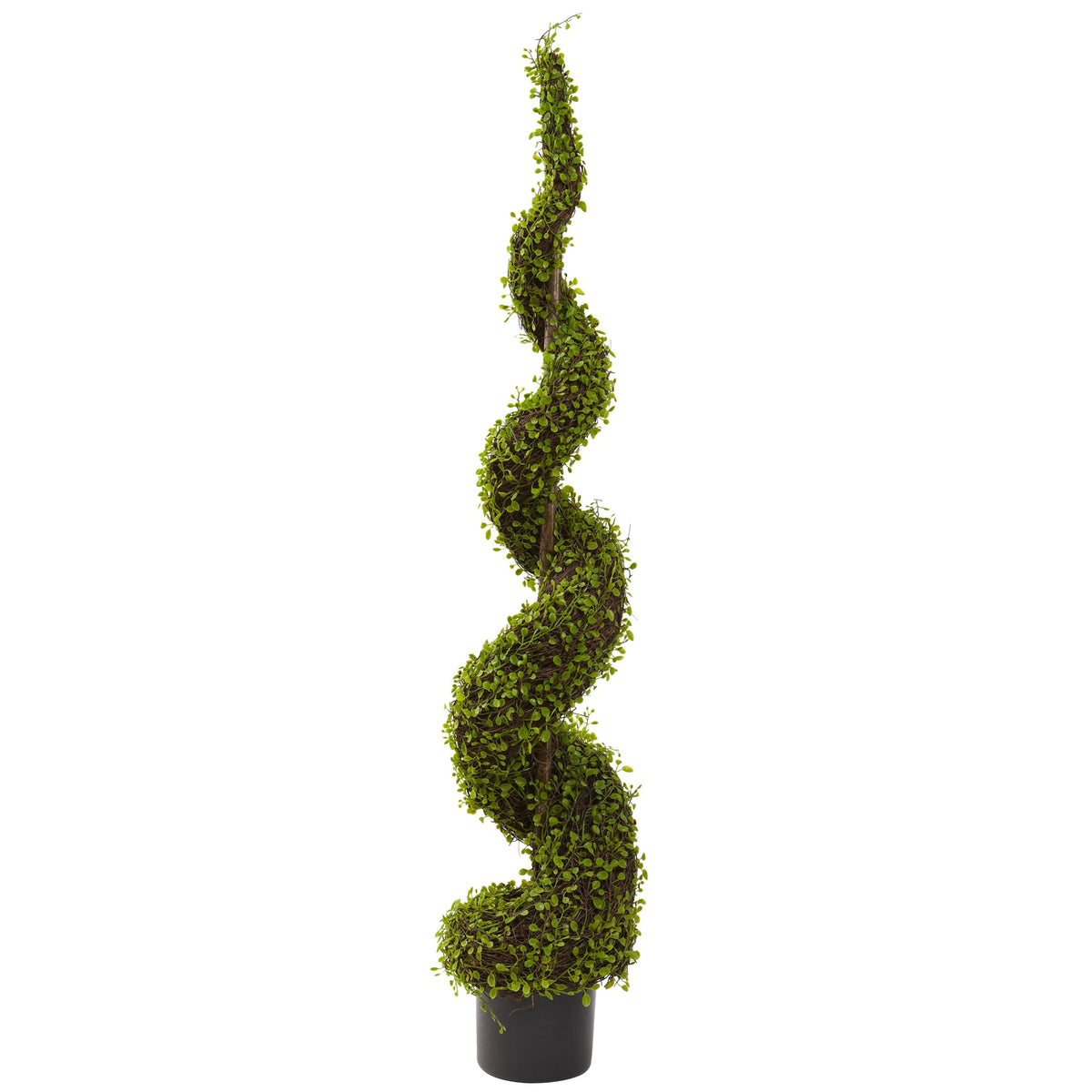 4' Mohlenbechia Spiral Tree by Nearly Natural