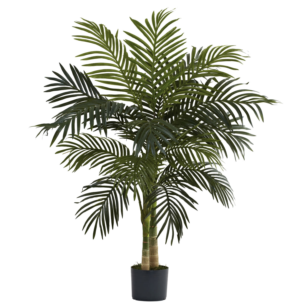 4' Golden Cane Palm Tree x 2 w/15 Lvs by Nearly Natural