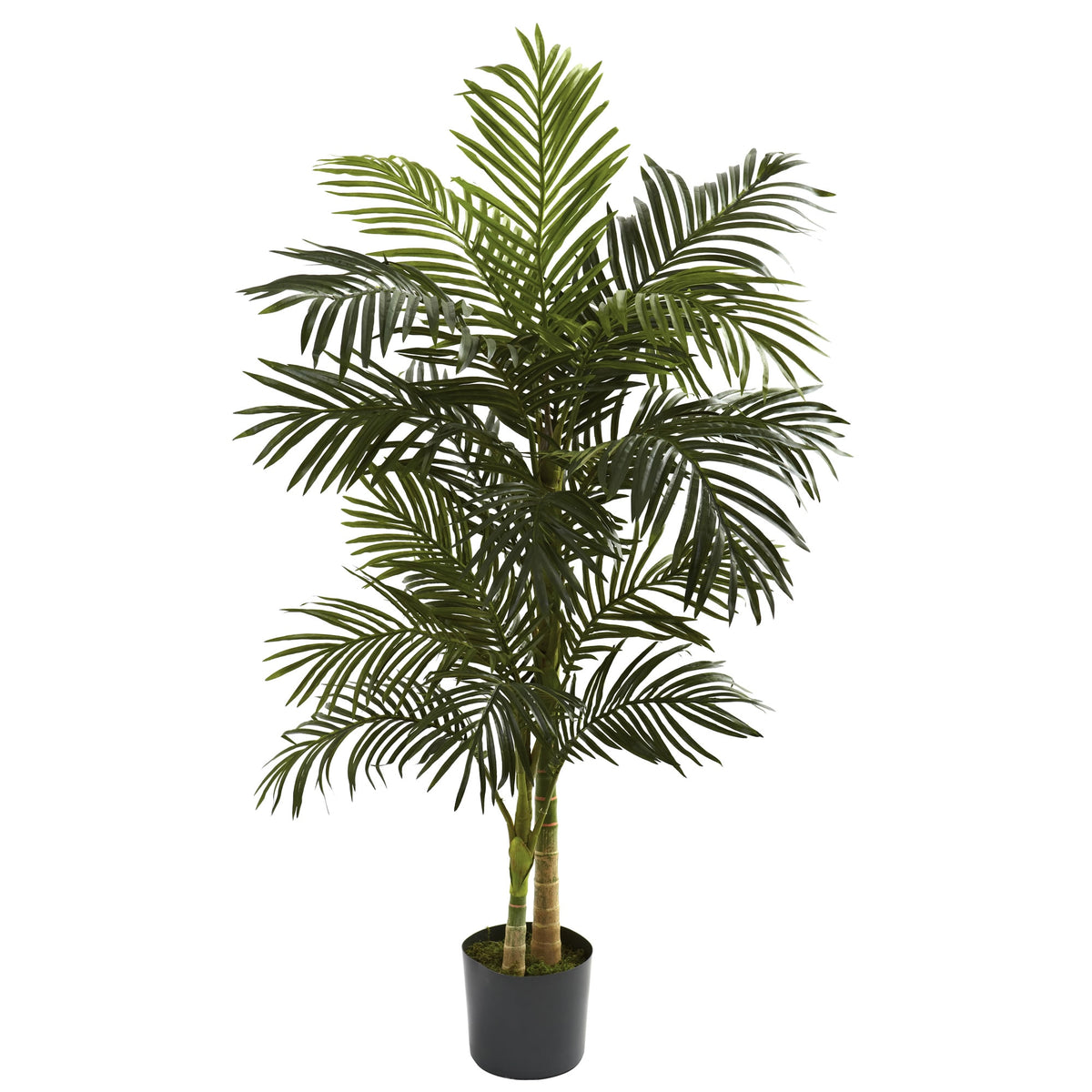 5' Golden Cane Palm Tree x 2 w/18 Lvs by Nearly Natural