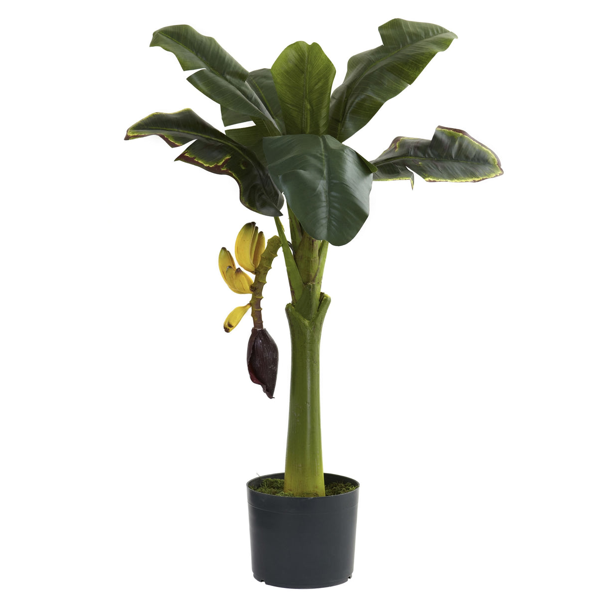 3' Banana Tree w/7 Lvs by Nearly Natural