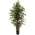 6' Fishtail Palm Tree x 5 w/594 Lvs by Nearly Natural
