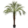 6' Robellini Palm Tree w/642 Lvs by Nearly Natural