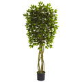 5.5' Ficus Tree UV Resistant x 5 w/840 Lvs (Indoor/Outdoor) by Nearly Natural