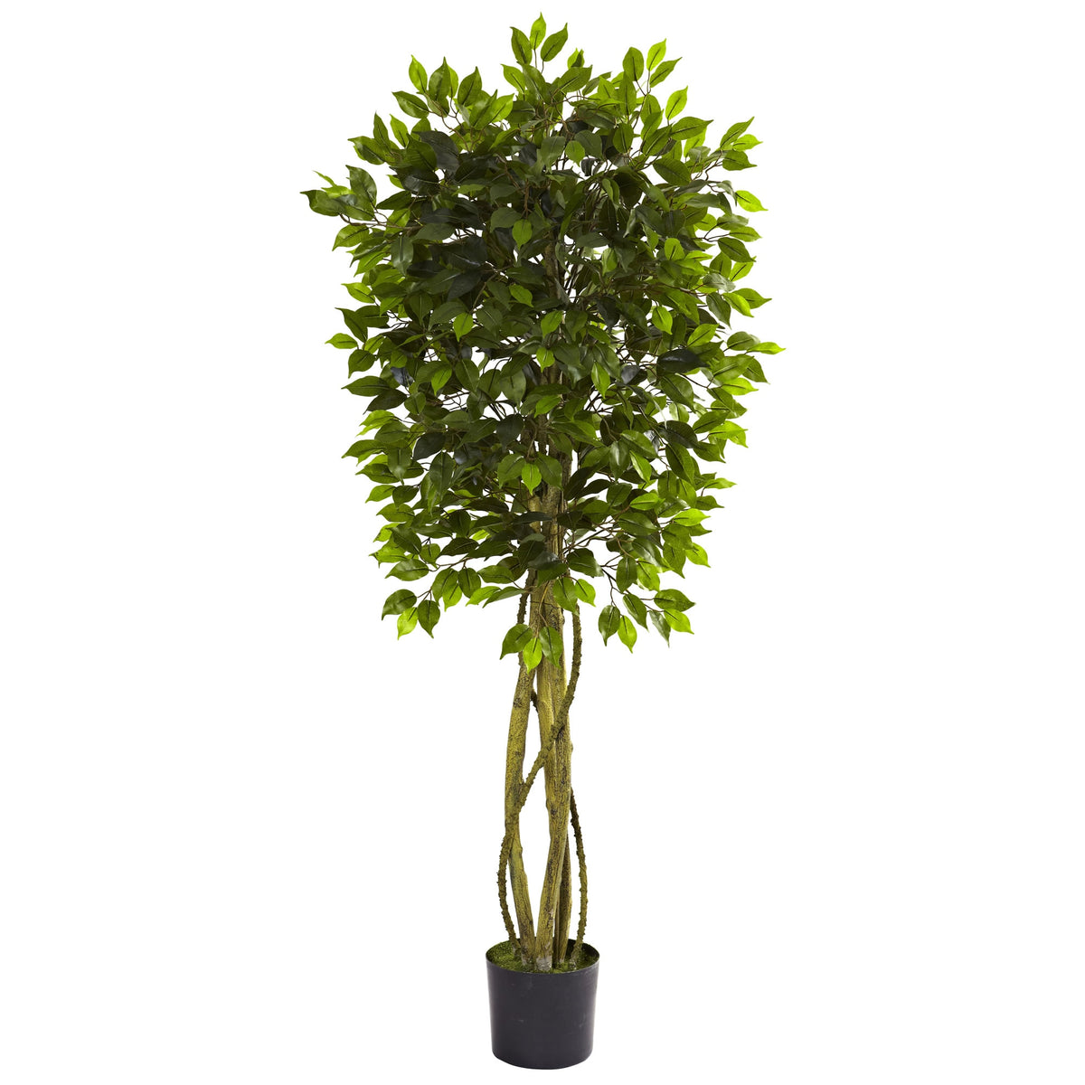 5.5' Ficus Tree UV Resistant x 5 w/840 Lvs (Indoor/Outdoor) by Nearly Natural