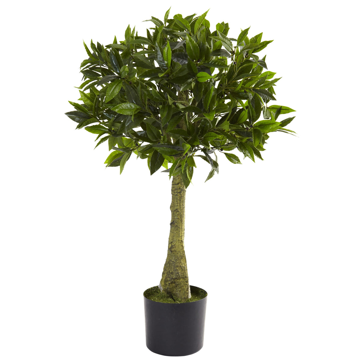 3' Bay Leaf Topiary UV Resistant w/604 Lvs (Indoor/Outdoor) by Nearly Natural