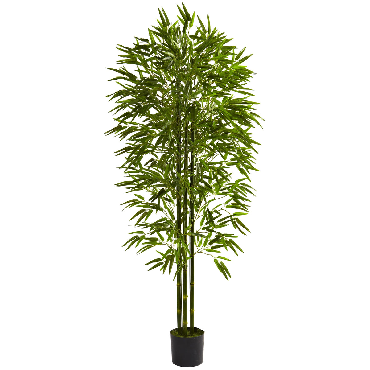 6' Bamboo Tree UV Resistant x 3 w/1280 Lvs (Indoor/Outdoor) by Nearly Natural