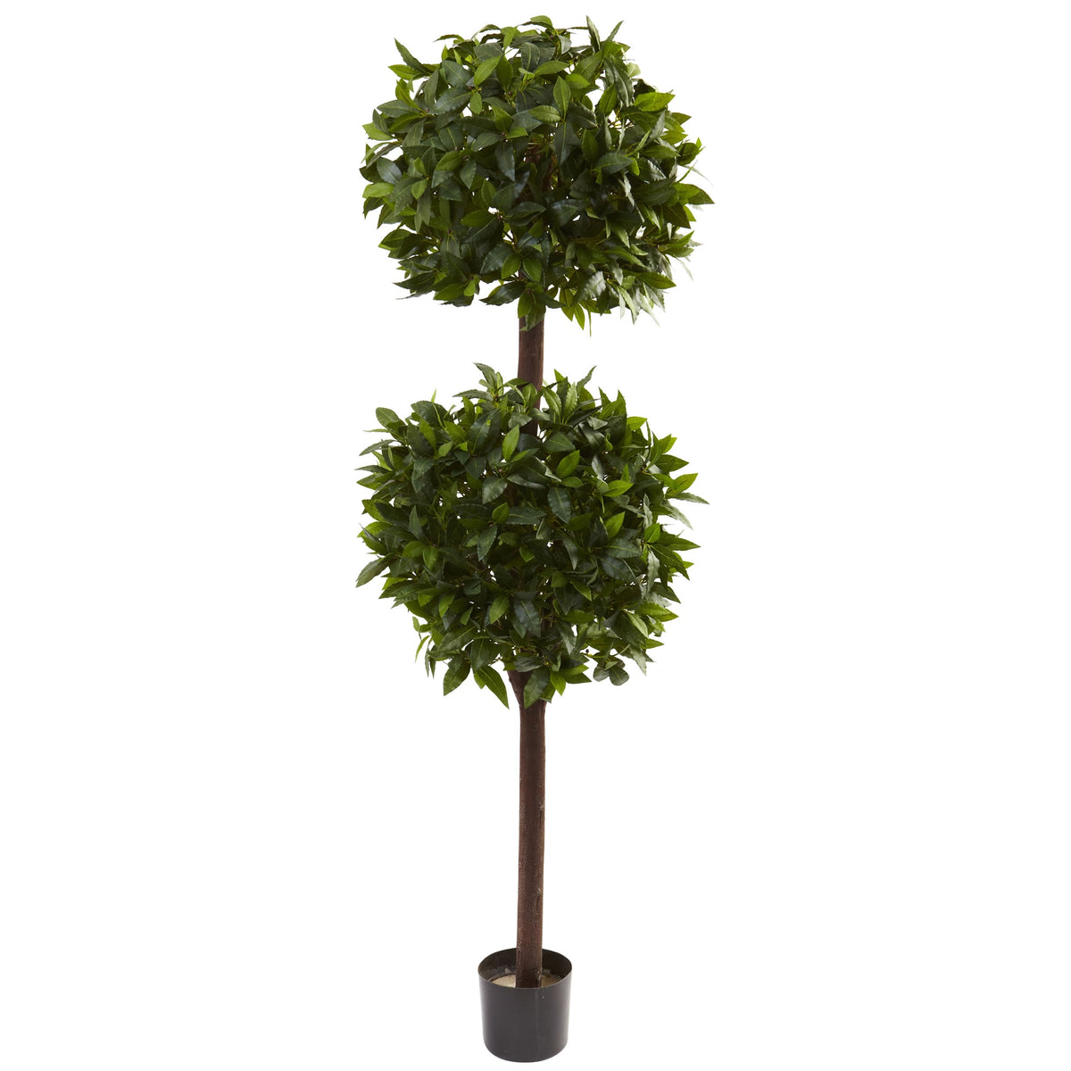6' Sweet Bay Double Ball Topiary x 2 w/2025 Lvs by Nearly Natural