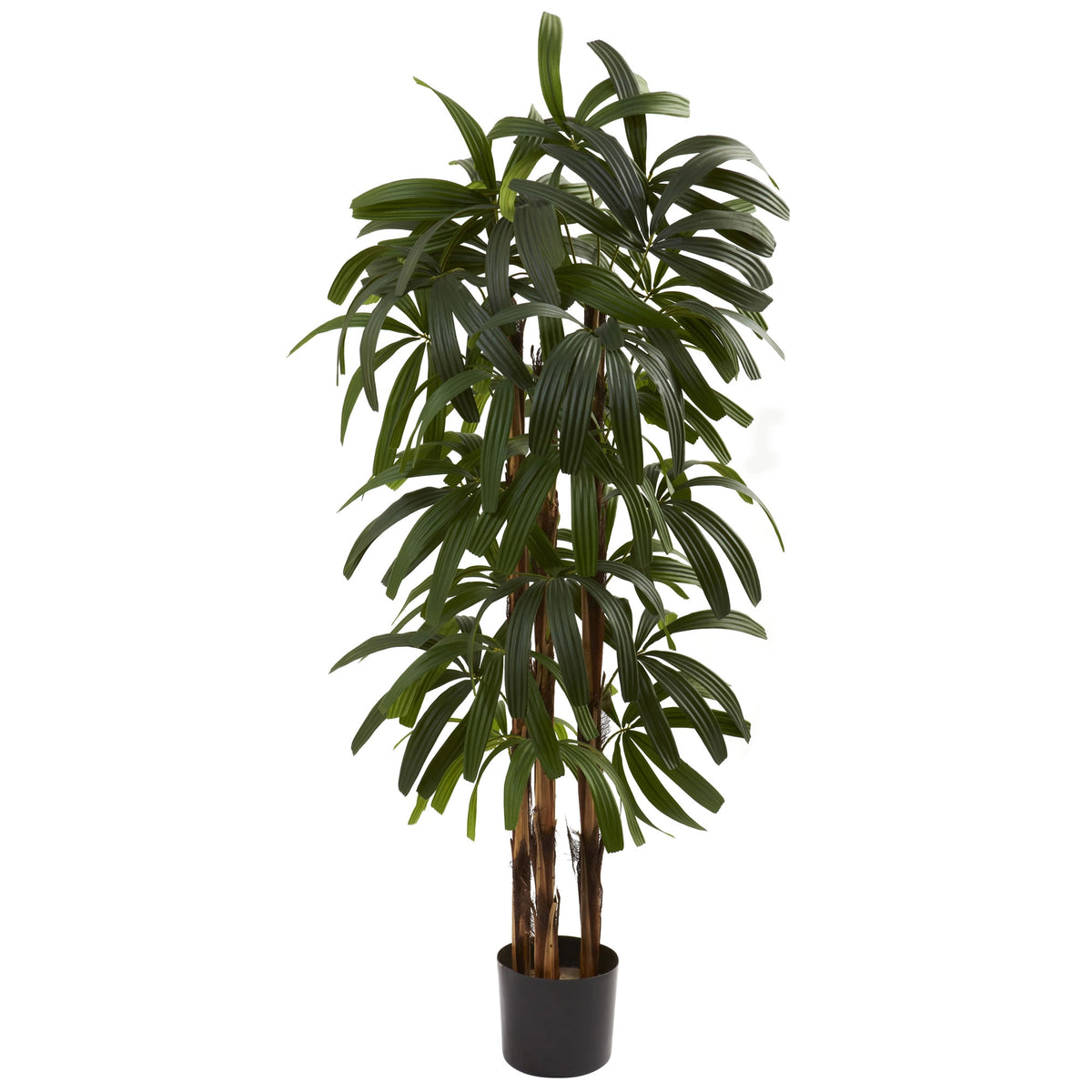 4' Raphis Palm Tree w/196 Lvs by Nearly Natural