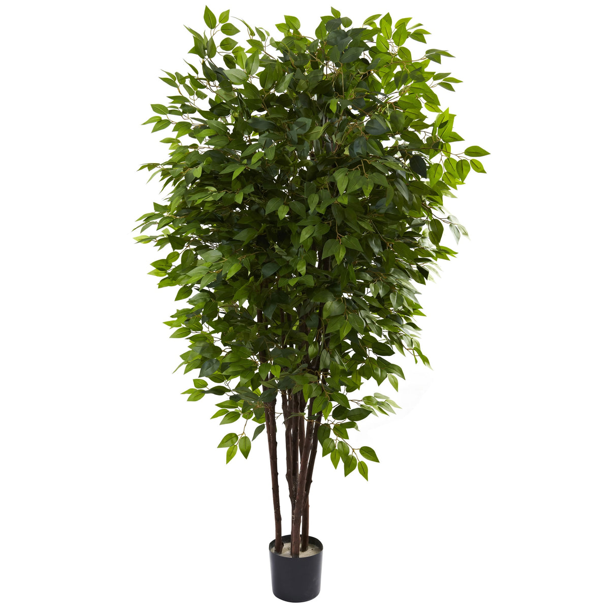 6.5' Deluxe Ficus Tree w/2520 Lvs by Nearly Natural