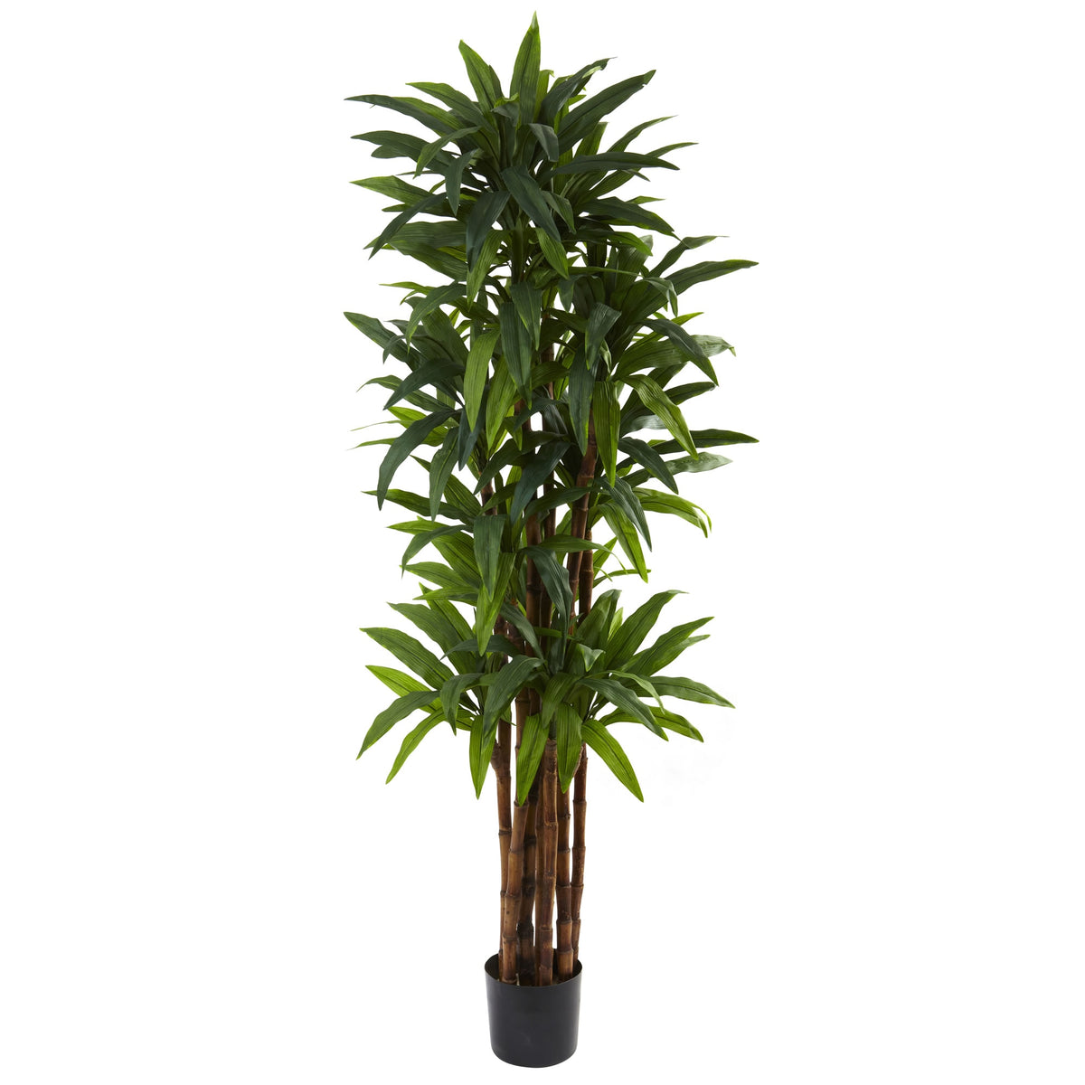6.5' Dracaena Tree x 8 w/214 Lvs by Nearly Natural