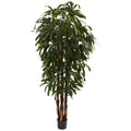 6' Raphis Palm Tree x 5 w/588 Lvs by Nearly Natural