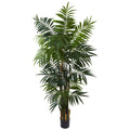 6' Bulb Areca Palm Tree w/534 Lvs by Nearly Natural