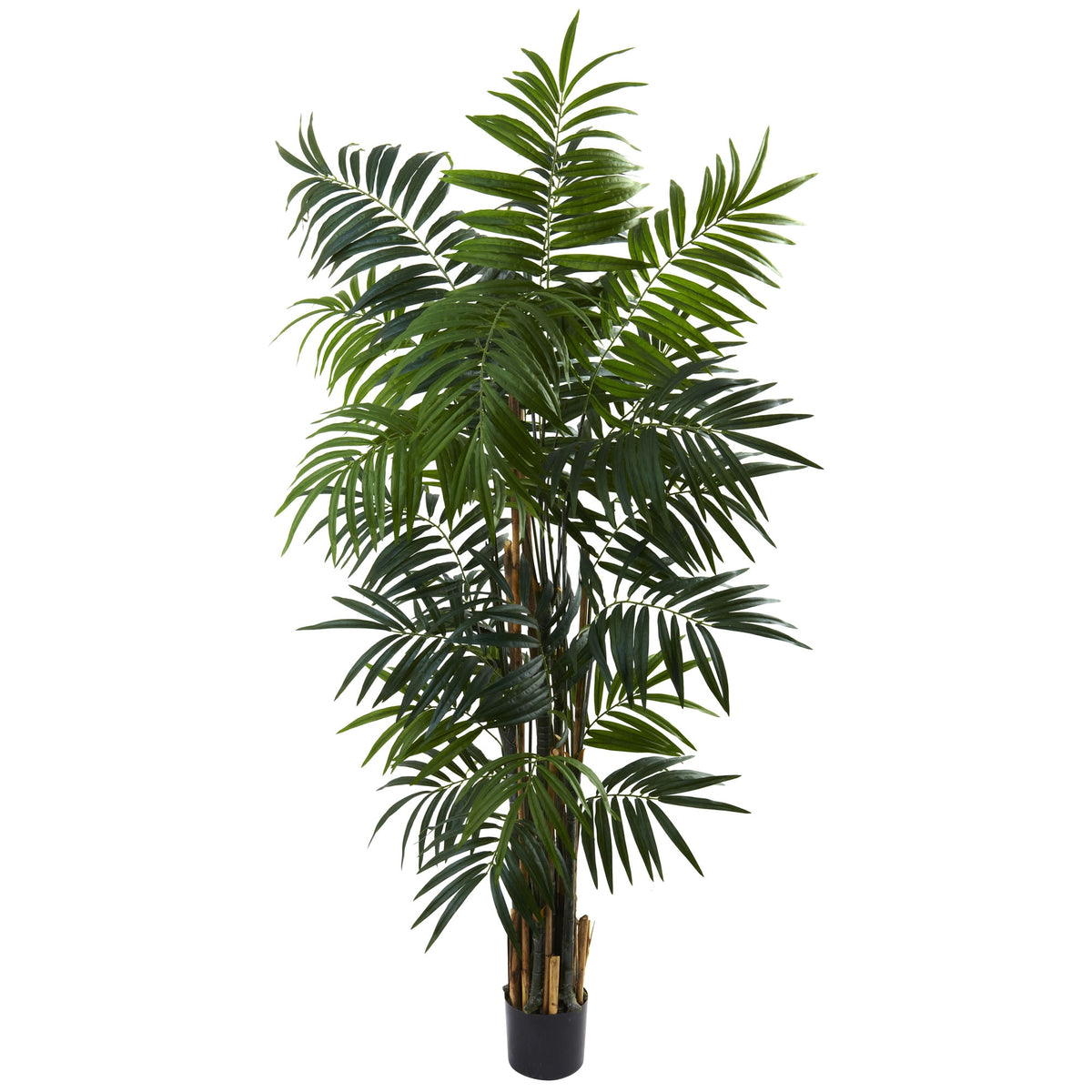 6' Bulb Areca Palm Tree w/534 Lvs by Nearly Natural