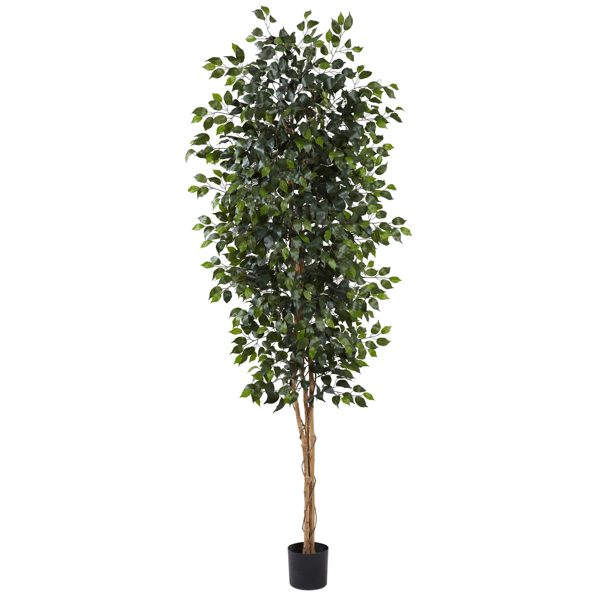 8' Ficus Tree x 3 w/1512 Lvs by Nearly Natural