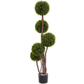 4'  Boxwood Topiary (Twotone Green) x 5 w/420 Lvs by Nearly Natural