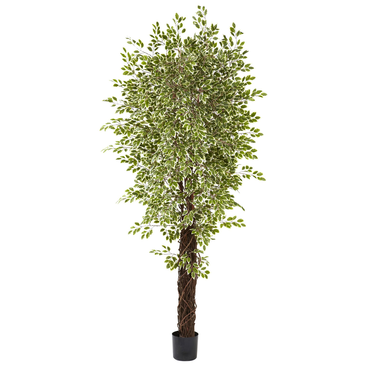 84" Mini Ficus Multi Creepers Trunk  x 4 w/4131 Lvs by Nearly Natural