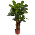 7' Banana Tree w/15" Pot w/UV by Nearly Natural