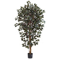 6' Capensia Ficus Tree x 3 w/1008 Lvs by Nearly Natural