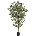 6' Hawaiian Ficus Tree x 3 w/1008 Lvs by Nearly Natural