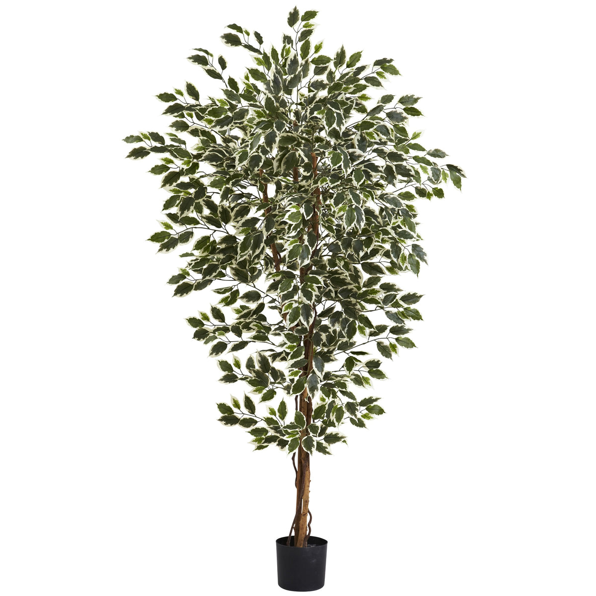 6' Hawaiian Ficus Tree x 3 w/1008 Lvs by Nearly Natural