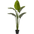 60" Travelers Palm Tree w/6 Lvs UV Resist (Indoor/Outdoor) by Nearly Natural