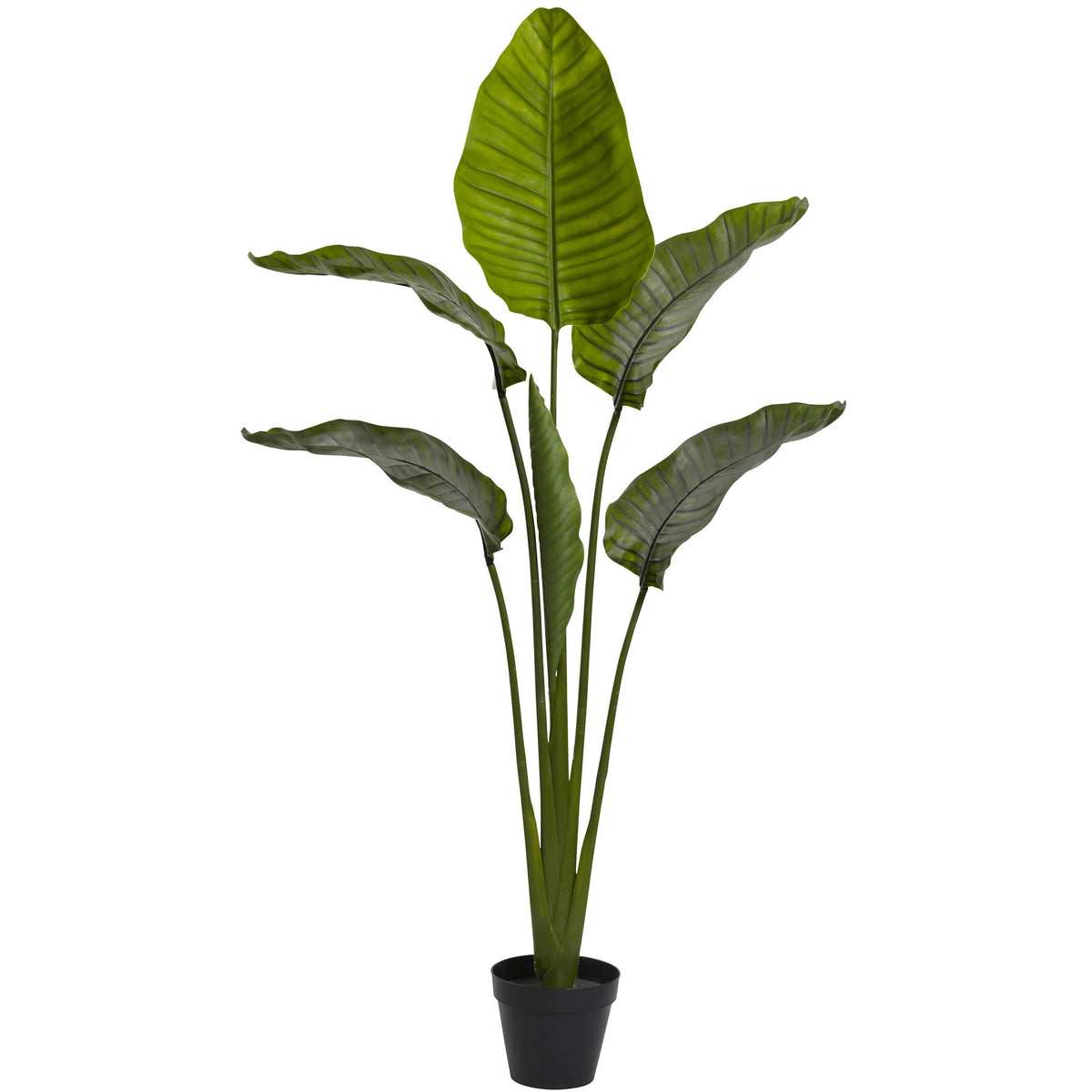 60" Travelers Palm Tree w/6 Lvs UV Resist (Indoor/Outdoor) by Nearly Natural