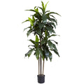 5' Dracaena Plant w/58 Lvs UV Resistant(Indoor/Outdoor) by Nearly Natural