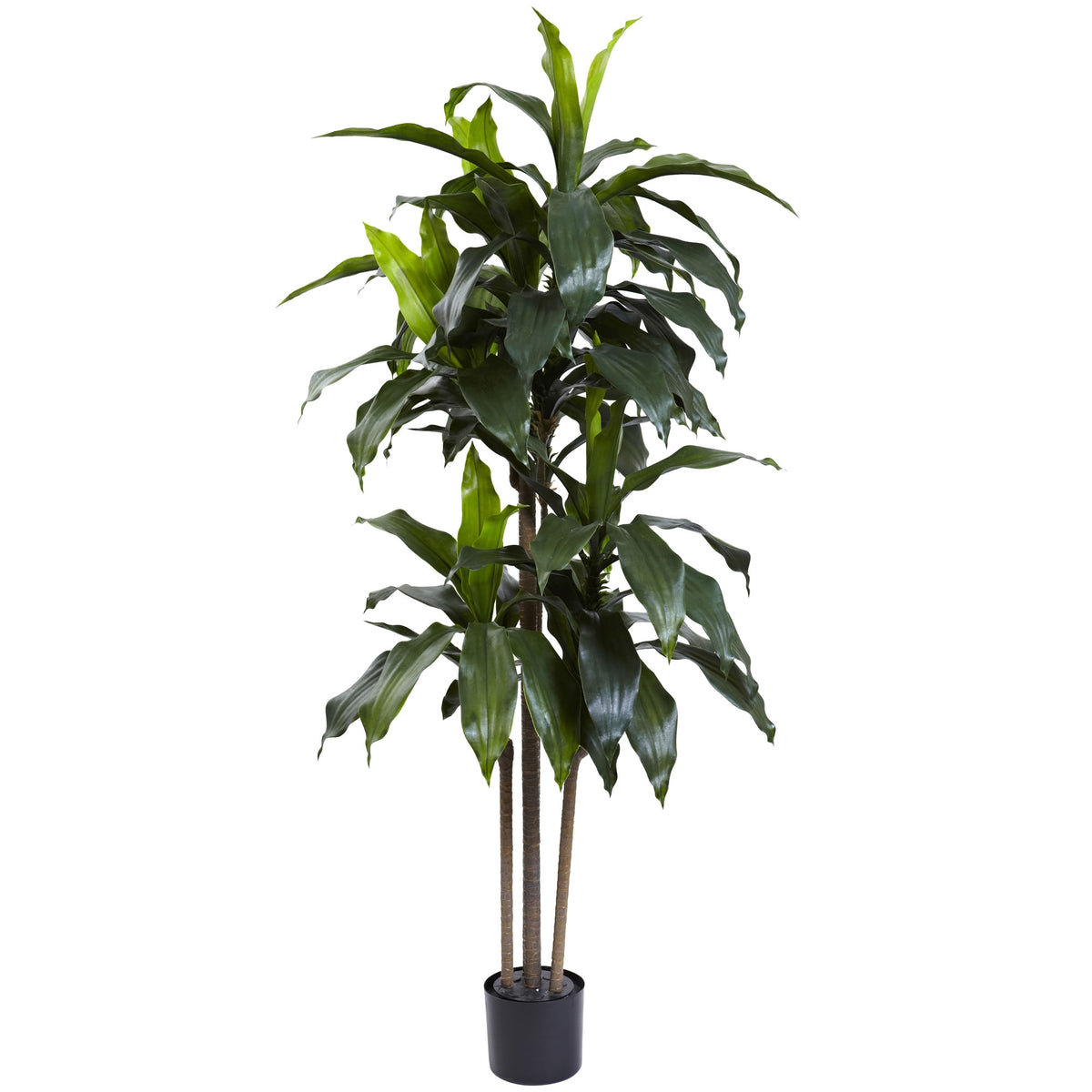 5' Dracaena Plant w/58 Lvs UV Resistant(Indoor/Outdoor) by Nearly Natural
