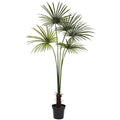 7' Fan Palm Tree UV Resistant w/150 Lvs (Indoor/Outdoor) by Nearly Natural