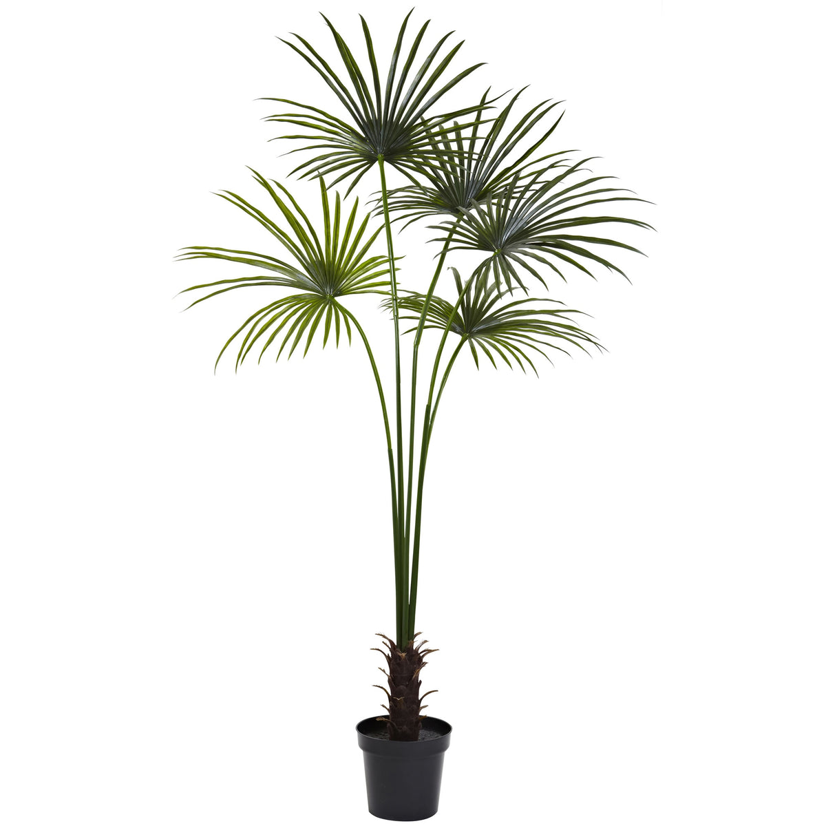 7' Fan Palm Tree UV Resistant w/150 Lvs (Indoor/Outdoor) by Nearly Natural