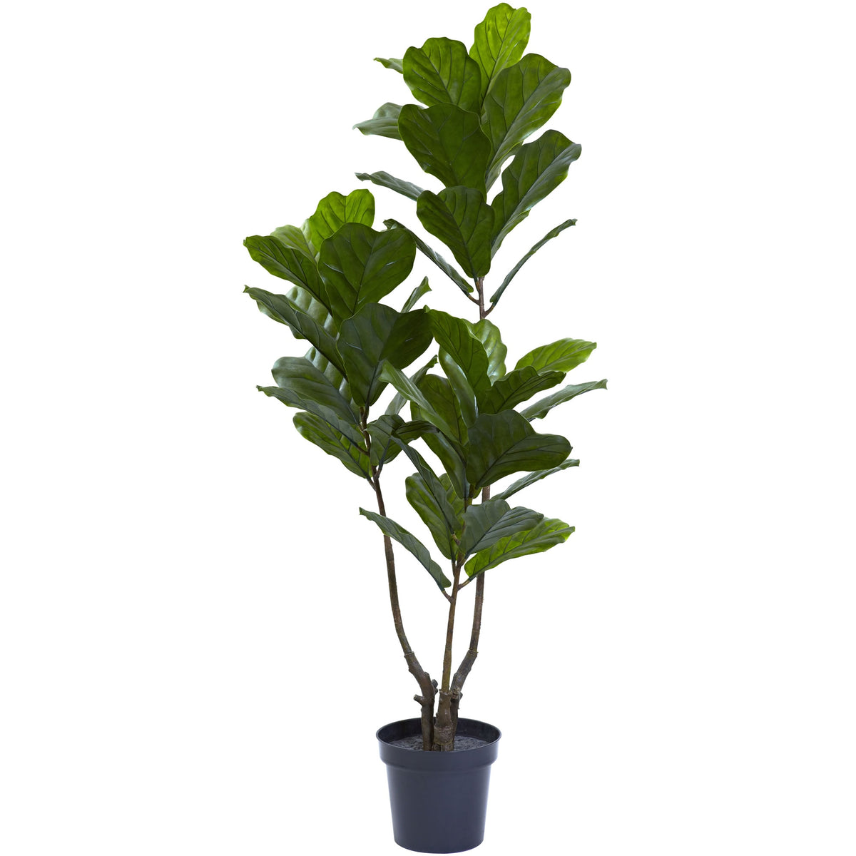 65" Fiddle Leaf Tree UV Resistant (Indoor/Outdoor) by Nearly Natural