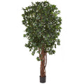 7.5' Lychee Tree x 7 w/5406 Lvs by Nearly Natural