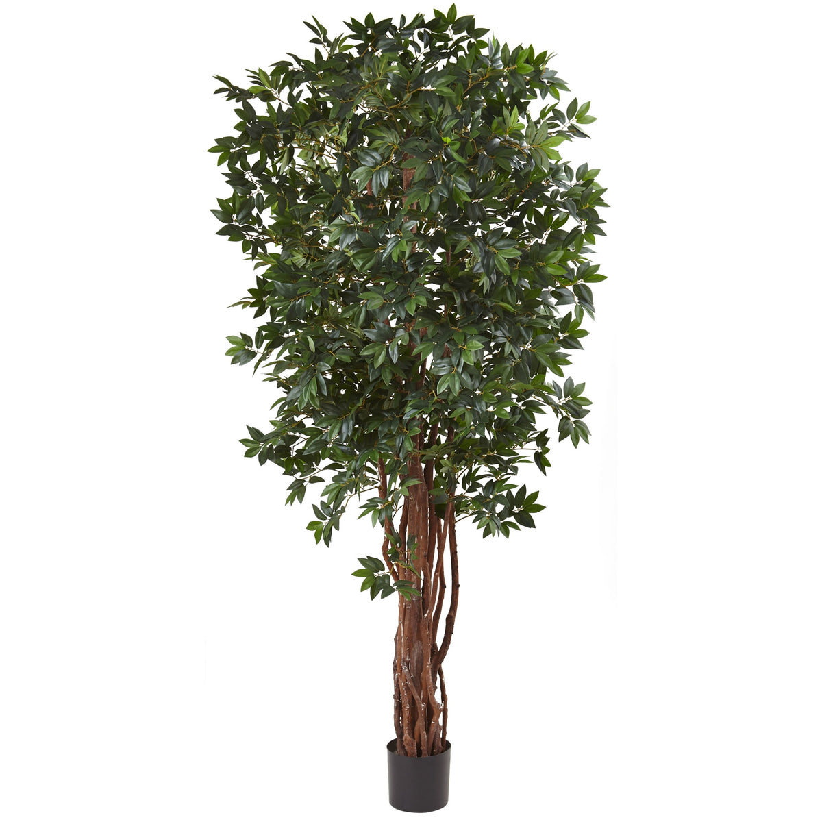 7.5' Lychee Tree x 7 w/5406 Lvs by Nearly Natural