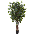 7' Sakaki Tree x 4w/ 1862 Lvs. by Nearly Natural