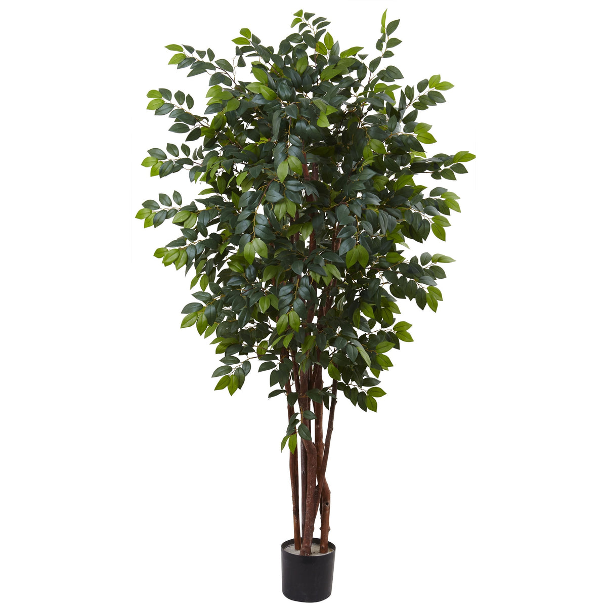 7' Sakaki Tree x 4w/ 1862 Lvs. by Nearly Natural