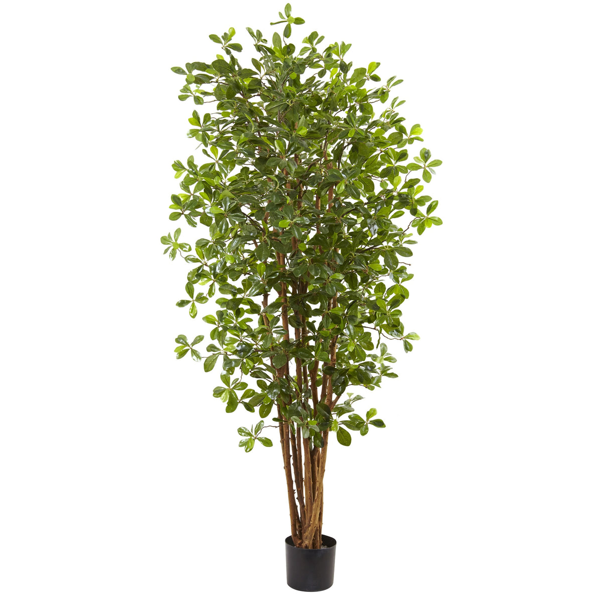 6' Black Olive Tree w/940 Lvs by Nearly Natural