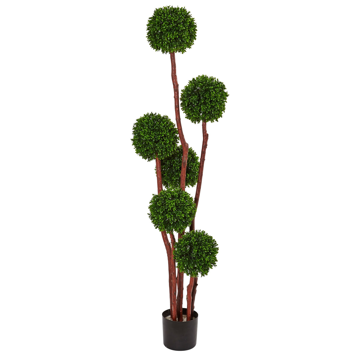 5' Boxwood Topiary UV Resistant (Indoor/Outdoor) by Nearly Natural