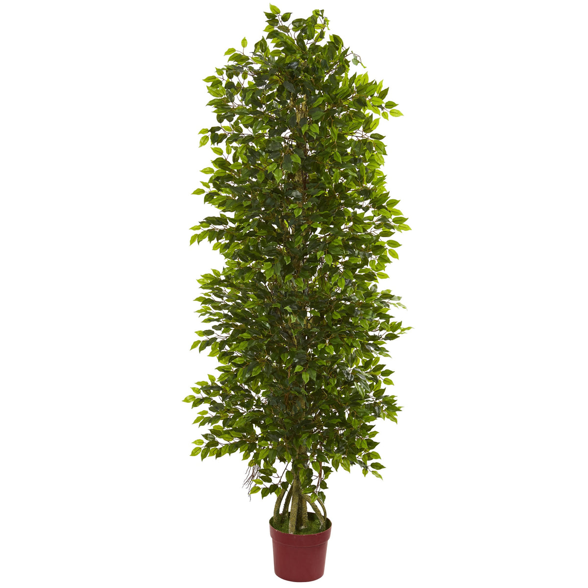 6'  4 Tier Mini Ficus w/3105 L UV Resistant (Indoor/Outdoor) by Nearly Natural