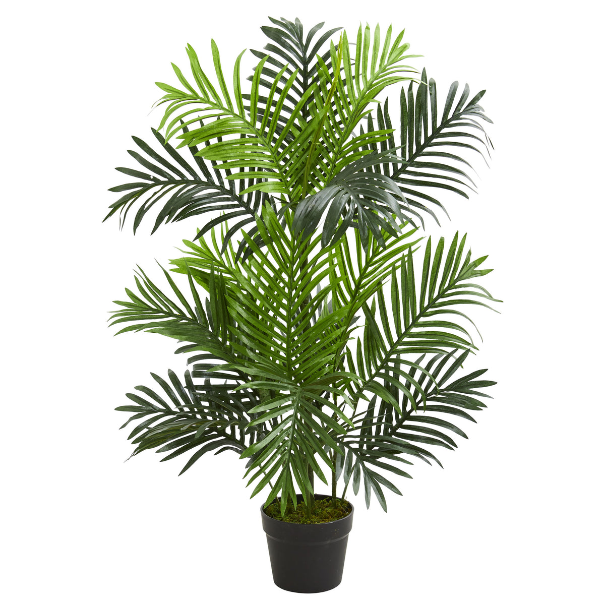 3' Paradise Palm Artificial Tree by Nearly Natural