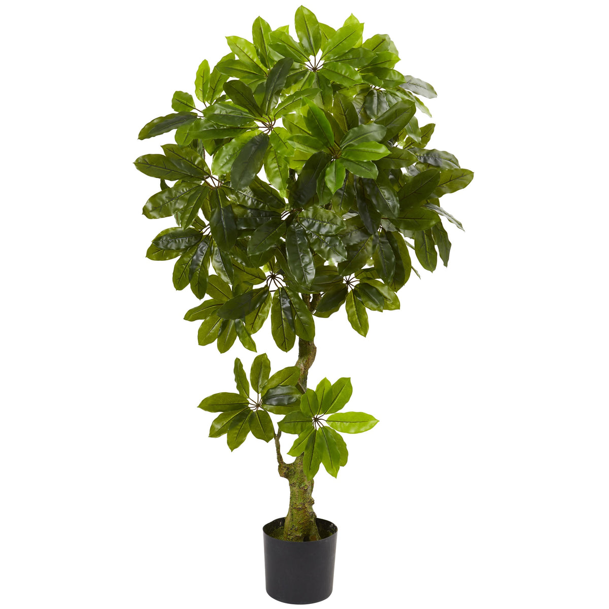 5' Schefflera Tree UV Resistant (Indoor/Outdoor) by Nearly Natural