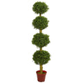 6' Four Tier Boxwood Topiary UV Resistant (Indoor/Outdoor) by Nearly Natural