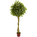 6' Ficus Tree Topiary UV Resistant (Indoor/Outdoor) by Nearly Natural