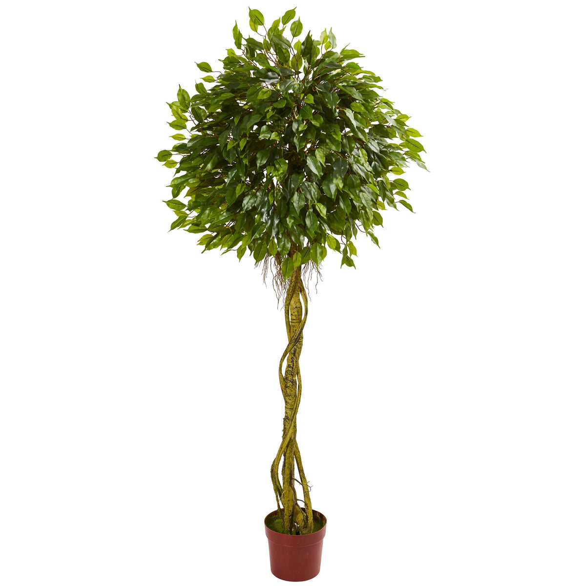 6' Ficus Tree Topiary UV Resistant (Indoor/Outdoor) by Nearly Natural