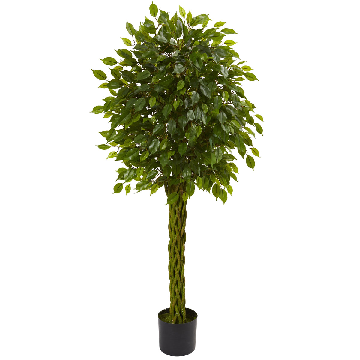 5' Ficus Tree w/Braided Trunk UV Resistant (Indoor/Outdoor) by Nearly Natural