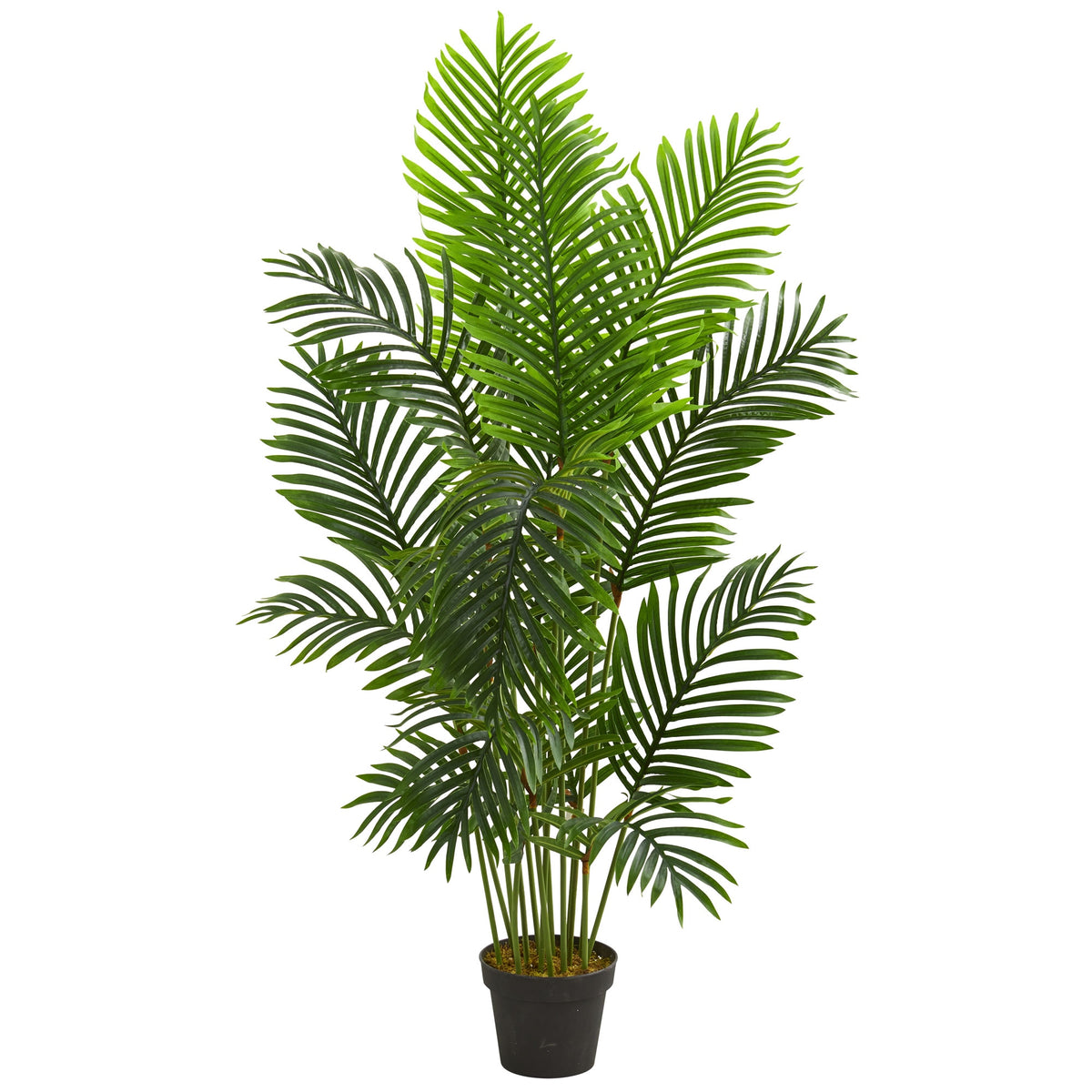 5' Paradise Palm Artificial Tree by Nearly Natural