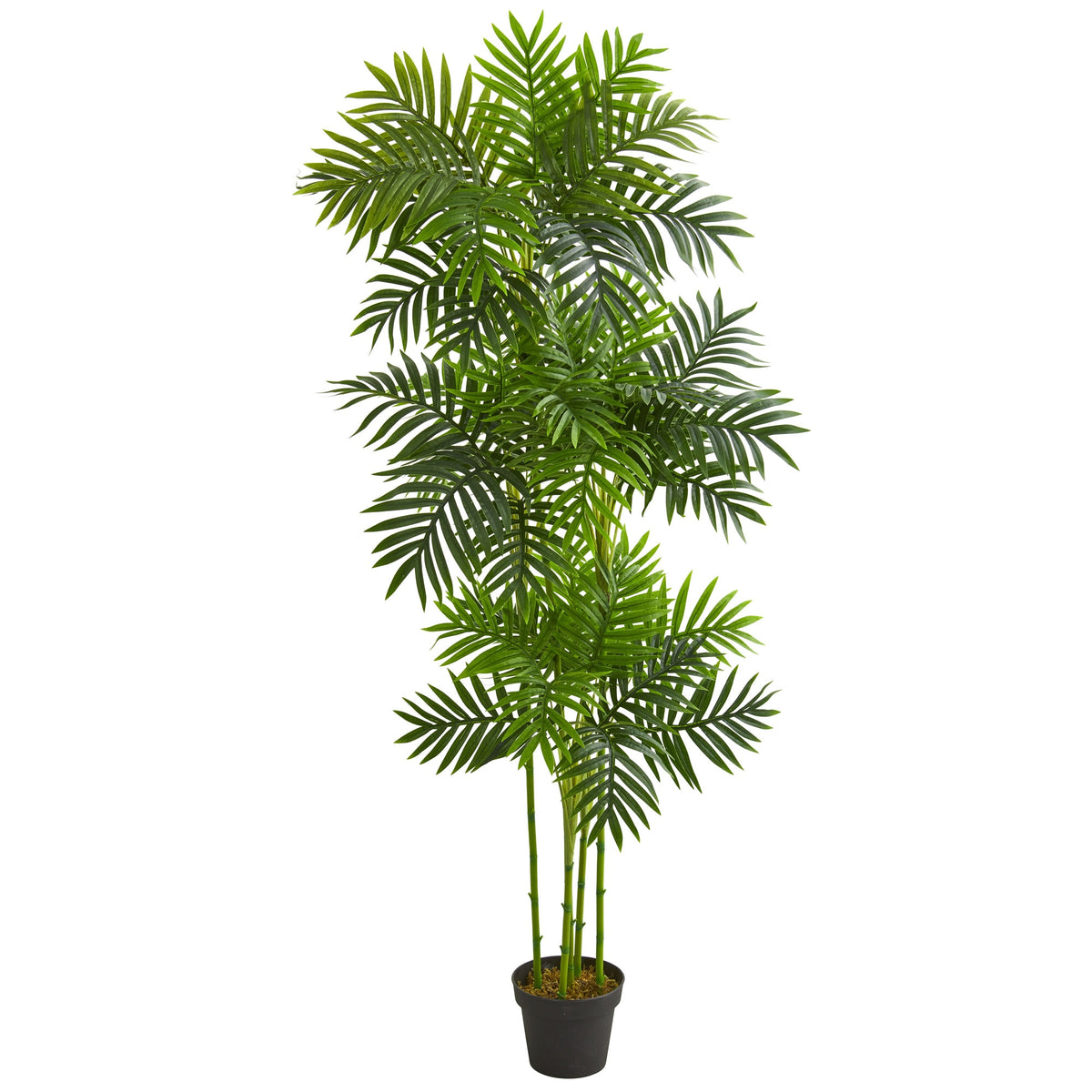 6' Phoenix Palm Artificial Tree by Nearly Natural