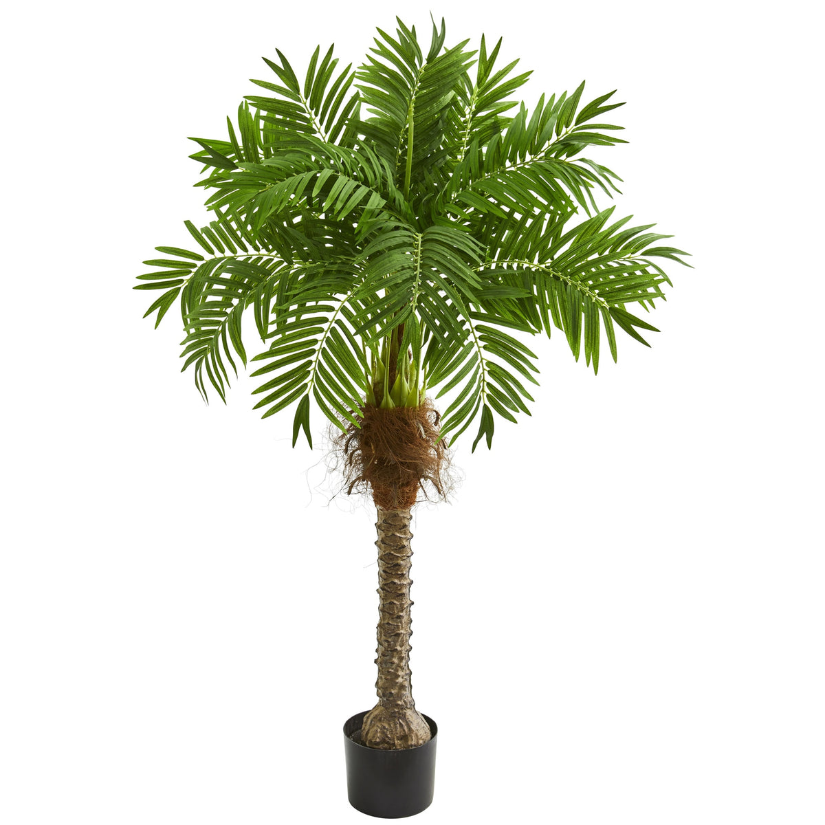 58" Robellini Palm Artificial Tree by Nearly Natural