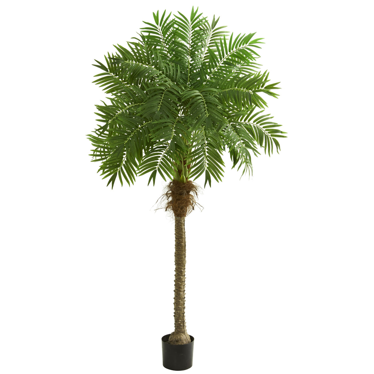 80" Robellini Palm Artificial Tree by Nearly Natural