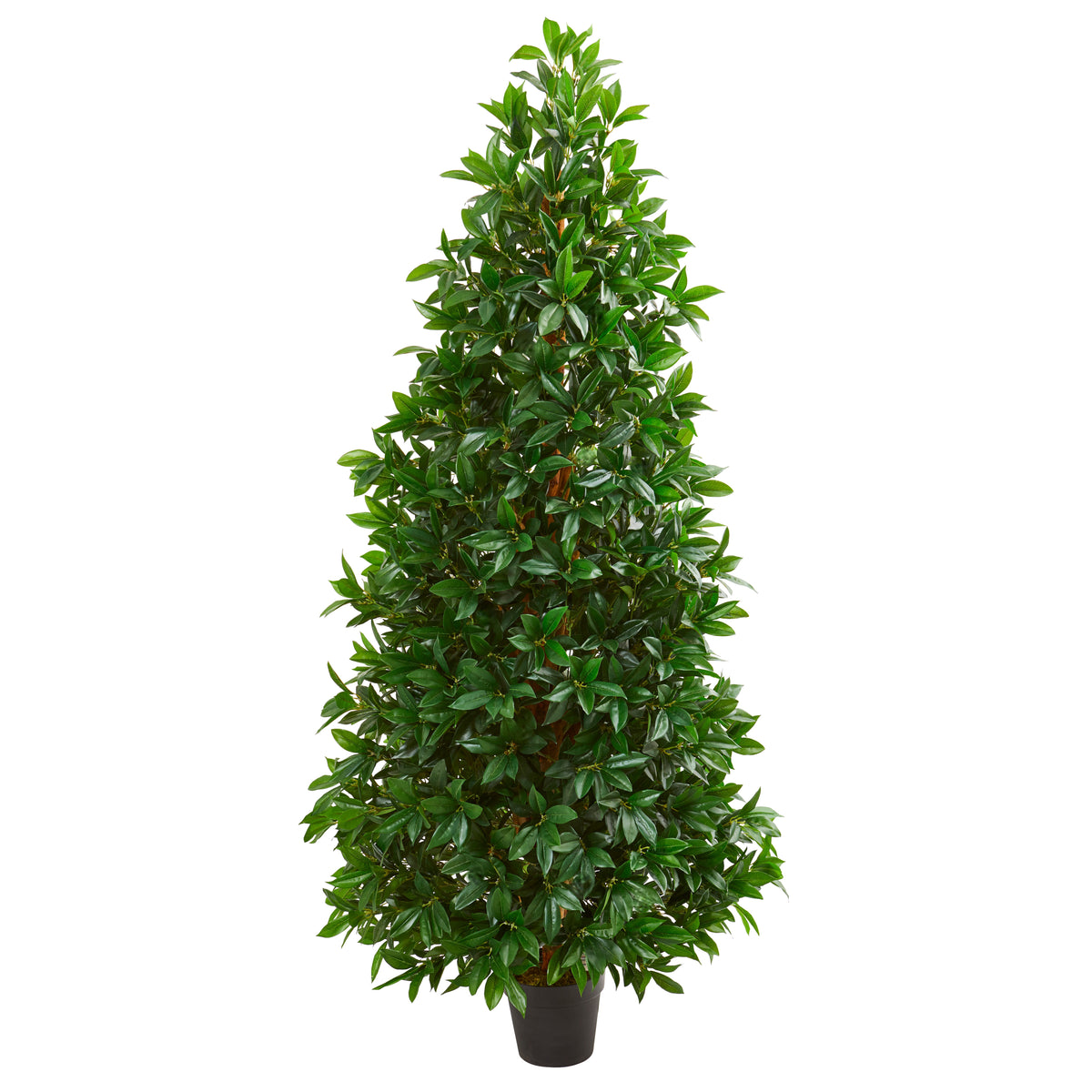 5' Bay Leaf Cone Topiary Tree UV Resistant (Indoor/Outdoor) by Nearly Natural